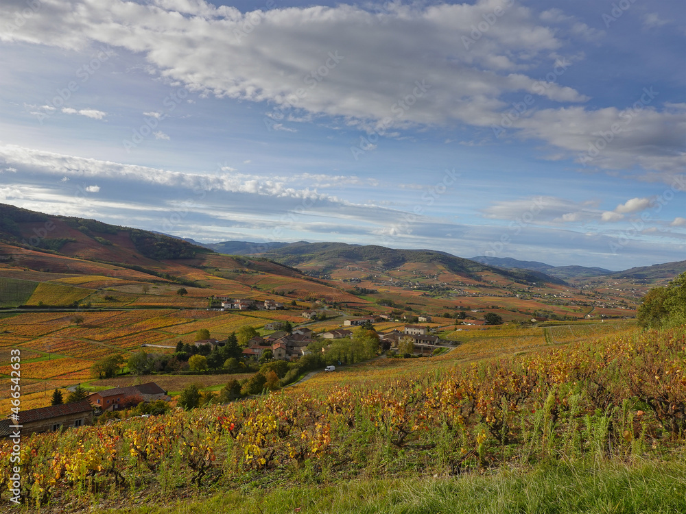 The autumnal colored vines at Mont Brouilly.