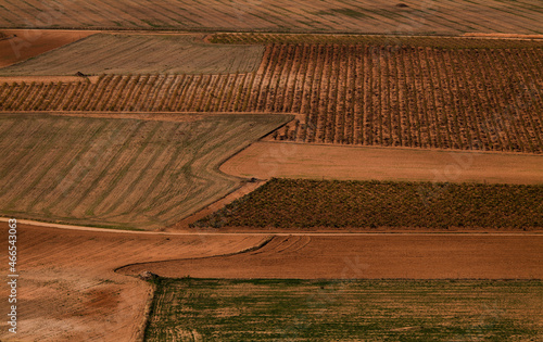 Aerial view of landscape of vineyard fields in Castilla La Mancha, Spain