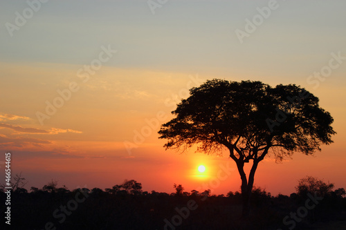 Sonnenuntergang Krüger Park Südafrika / Sundown Kruger Park South Africa / © Ludwig