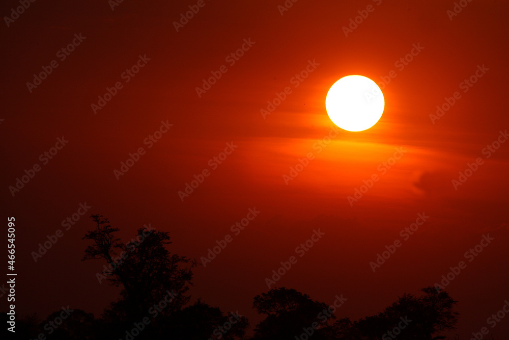 Sonnenuntergang Krüger Park Südafrika / Sundown Kruger Park South Africa / Sonnenuntergang Krüger Park Südafrika / Sundown Kruger Park South Africa /