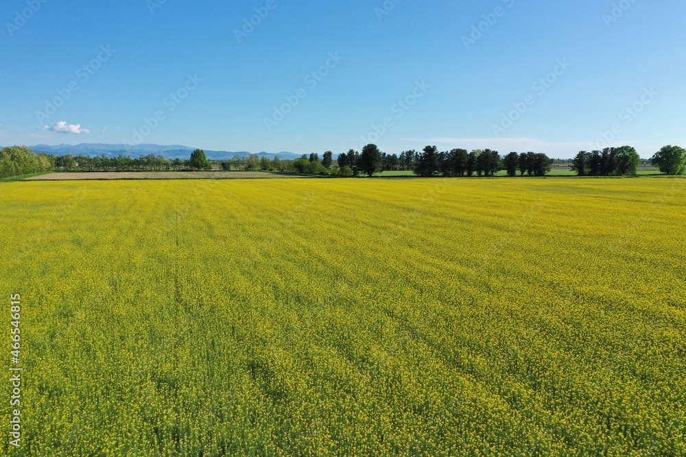 Fields and rural landscape from drone Fields and rural landscape from drone