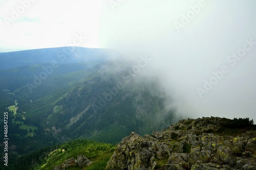 fog in the mountains