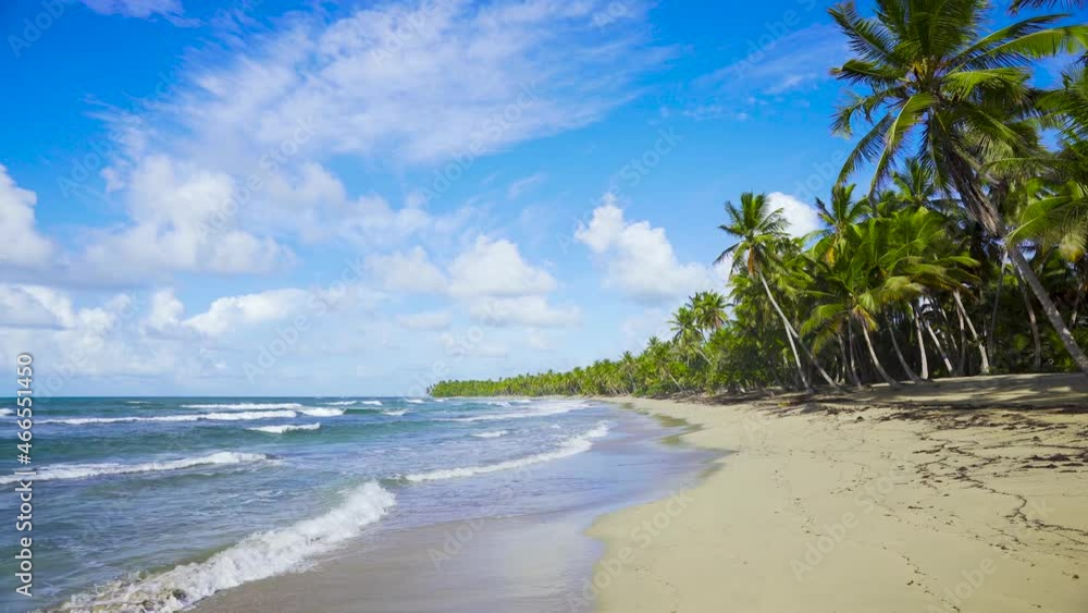 Summer idyllic beach with palm trees in the Dominican Republic. Cote d'Azur with a sandy beach on a summer sunny day. Blue sky with clouds is reflected in the blue sea. Summer idyllic beach with palm trees in the Dominican Republic. Cote d'Azur with a sandy beach on a summer sunny day. Blue sky with clouds is reflected in the blue sea.