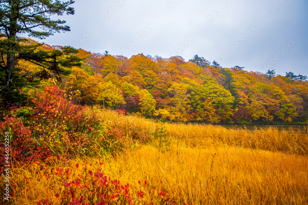 秋田県 八幡平・大沼の紅葉 秋田県 八幡平・大沼の紅葉