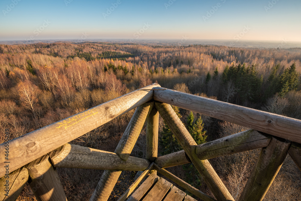 Fototapeta premium view from wooden watchtower over the forest in autumn