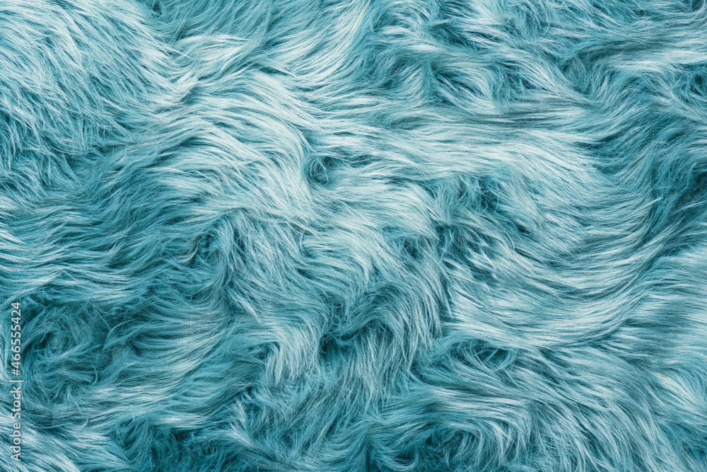 Fur texture top view. Turquoise fur background. Fur pattern. Texture of turquoise shaggy fur. Wool texture. Flaffy sheepskin fur close up Fur texture top view. Turquoise fur background. Fur pattern. Texture of turquoise shaggy fur. Wool texture. Flaffy sheepskin fur close up