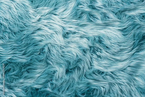 Fur texture top view. Turquoise fur background. Fur pattern. Texture of turquoise shaggy fur. Wool texture. Flaffy sheepskin fur close up