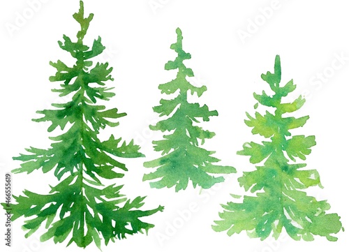 A set of watercolor illustrations, spruce, pine without ornaments © Nat
