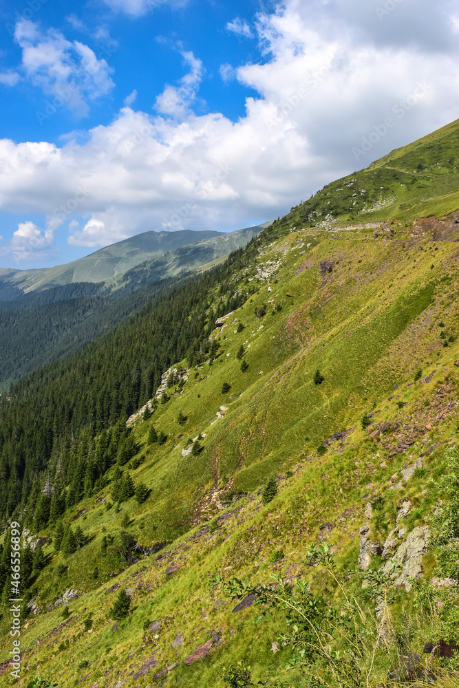 Transylvanian alps with green hills in Romania