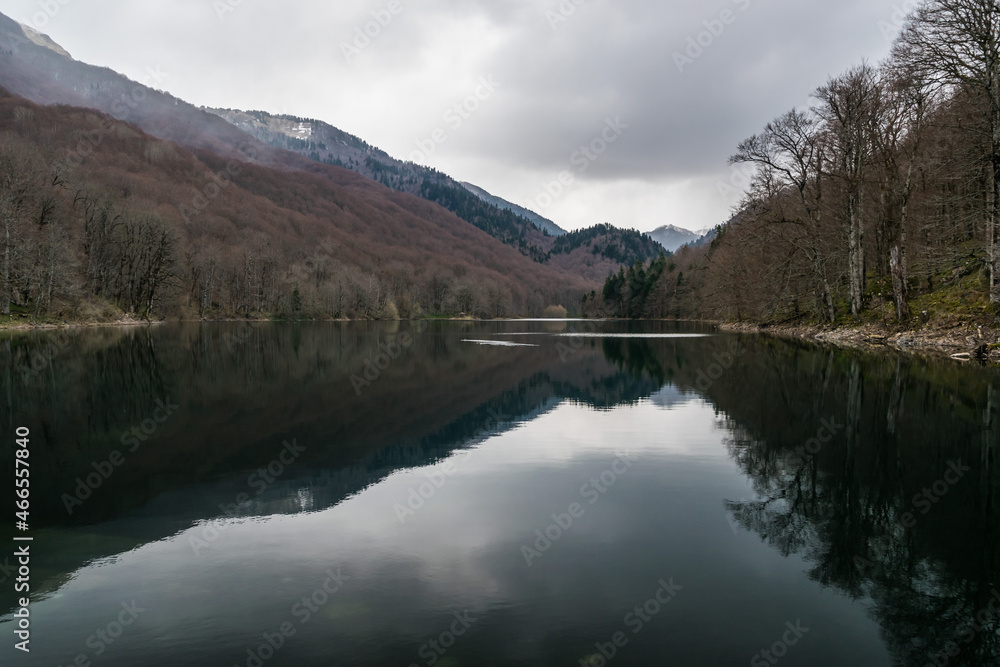Nature landscape view of the Biogradska gora nature park with trees, lake and mountains
