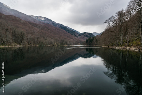 Nature landscape view of the Biogradska gora nature park with trees  lake and mountains