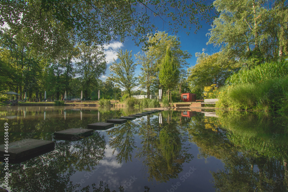 Obraz premium Schwanenweiher