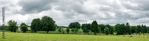 Green meadows and woods at the Belgian countryside in the Ardennes region