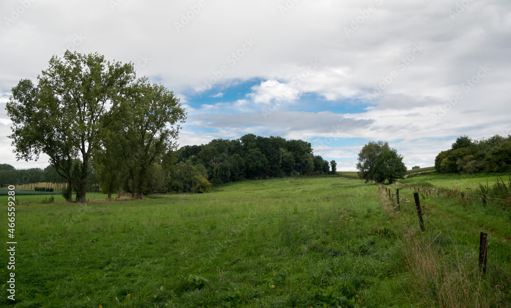 Green meadows and agriculture fields at the Flemish countryside Green meadows and agriculture fields at the Flemish countryside