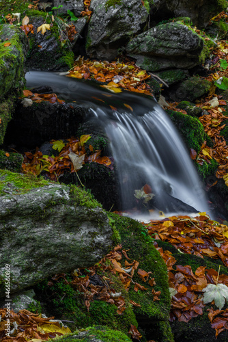 Fototapeta Naklejka Na Ścianę i Meble -  Sumny creek in autumn morning in Jeseniky mountains