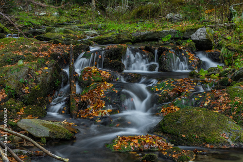 Fototapeta Naklejka Na Ścianę i Meble -  Sumny creek in autumn morning in Jeseniky mountains