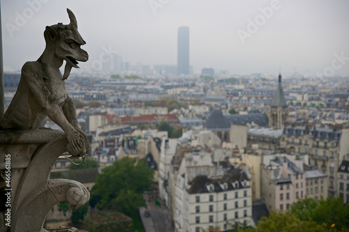 Old stone gargoyle with defocused city in the background
