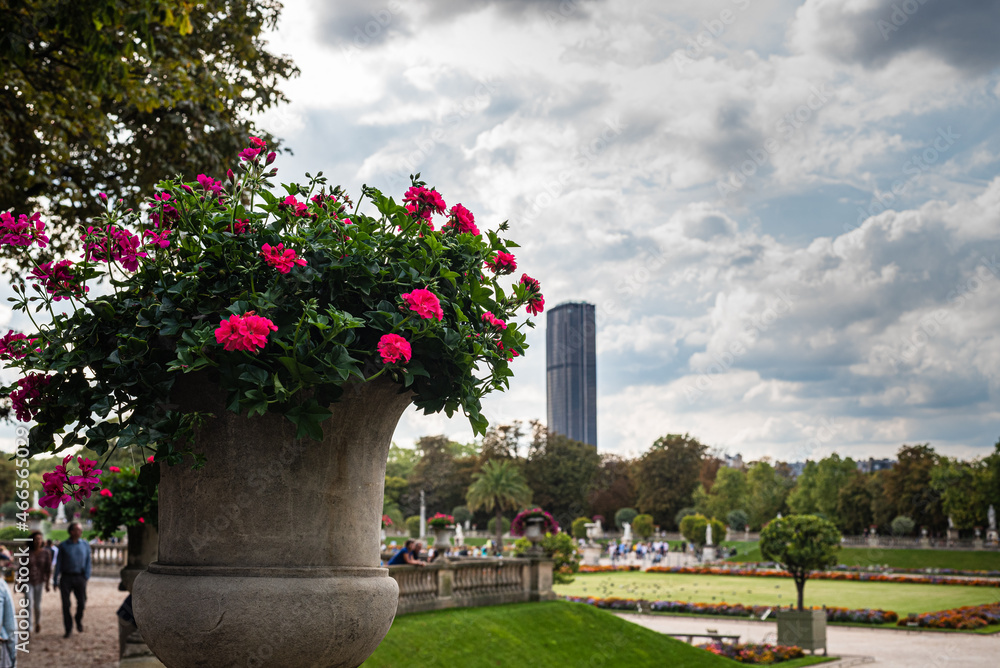 Balade au parc