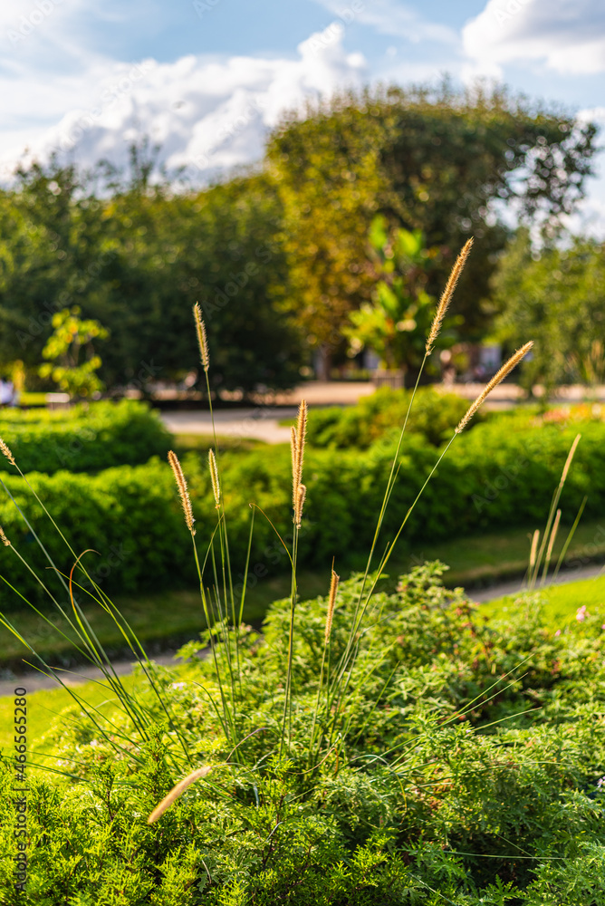 Balade au parc