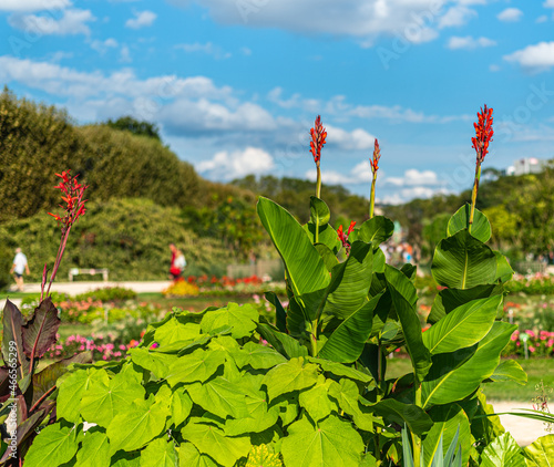 Obraz na płótnie Balade au parc w salonie