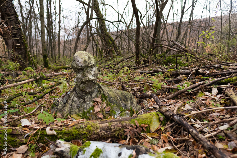 The abandoned statue is a memorial to a famous person, overgrown with grass and trees. The concept of the fall of communism. The abandoned statue is a memorial to a famous person, overgrown with grass and trees. The concept of the fall of communism.