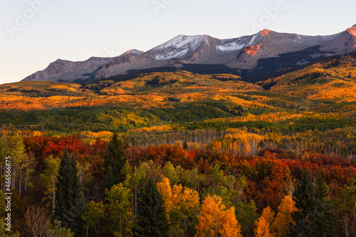 Autumn landscape with Aspen trees in the mountains at Kebler Pass near Crested Butte, Colorado.