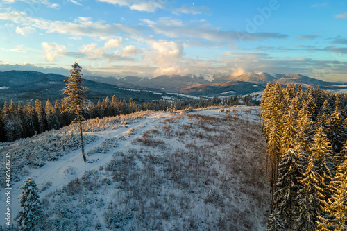 Aerial winter landscape with spruse trees of snow covered forest in cold mountains in the evening. photo