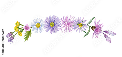Fototapeta Naklejka Na Ścianę i Meble -  Wild flowers decoration, flowers element design. Watercolor hand drawn floral decoration with field wild flowers and branches. Can be used as print, postcard, invitation,greeting card, packaging.