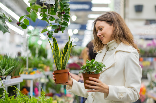 beautiful european woman in white coat chooses chooses between two houseplant at flower shop photo