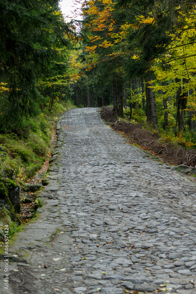 Fototapeta premium Road