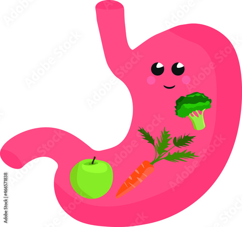 Medical illustration of a contented stomach of a person who eats well. Fruits and vegetables.
