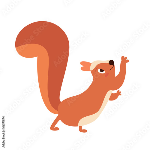 The cute squirrel grimaces and jumps. Vector flat illustration.