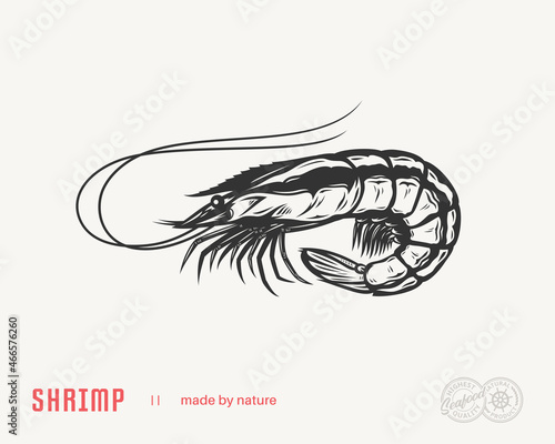 Vector shrimp flat style illustration. Seafood icon