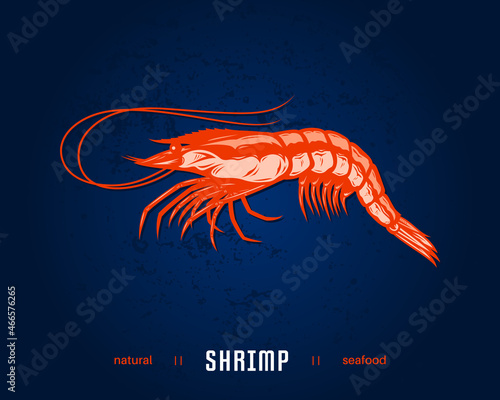 Vector shrimp flat style illustration. Seafood icon isolated on blue grunge background