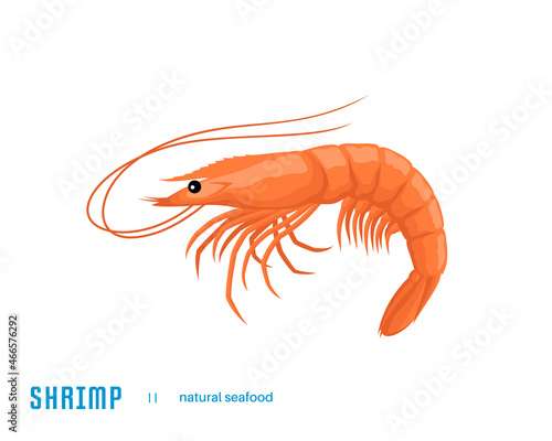 Shrimp vector illustration. Seafood icon isolated on a white background