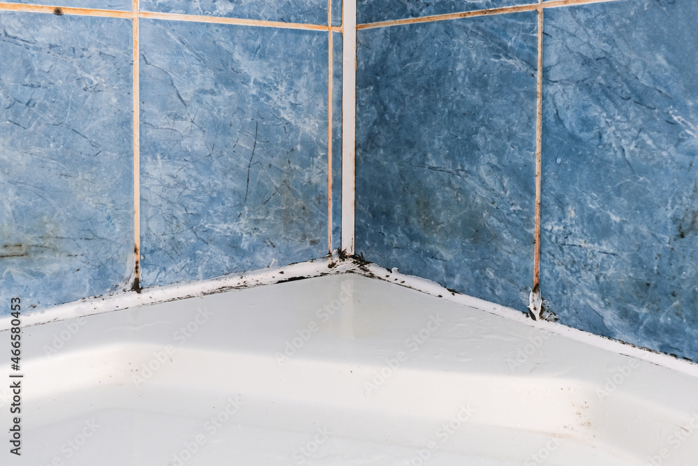 Mold fungus and rust growing in tile joints in damp poorly ventilated