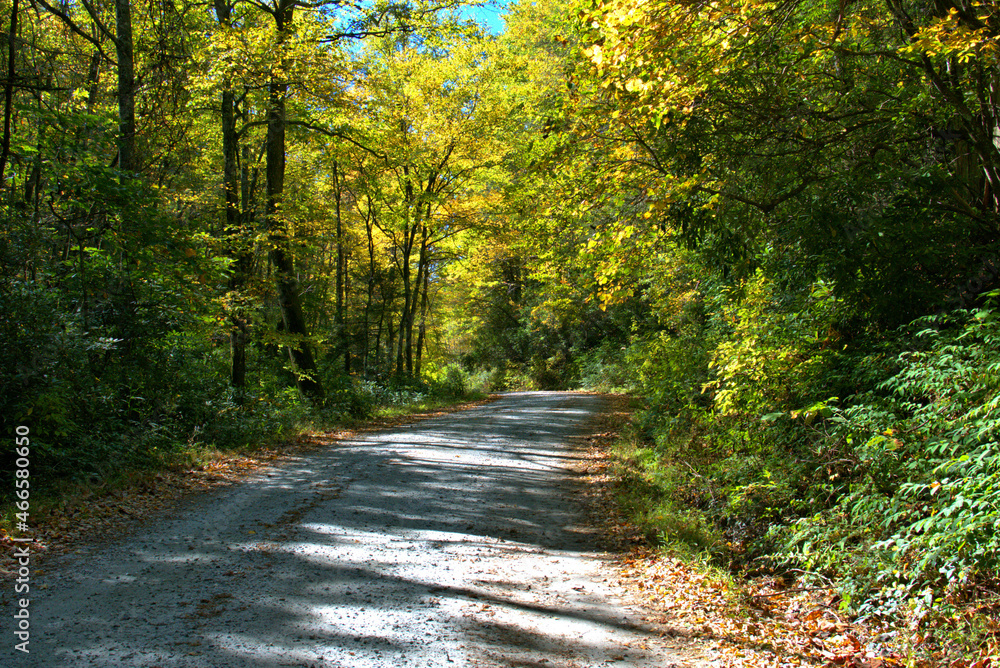 Fototapeta premium Water Falls of North Carolina
