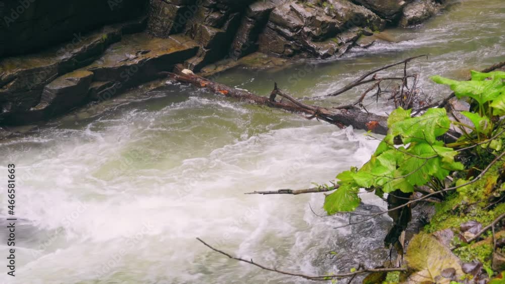 Fast flowing river from a mountain range. Close up of river stones with flowing water Fast flowing river from a mountain range. Close up of river stones with flowing water