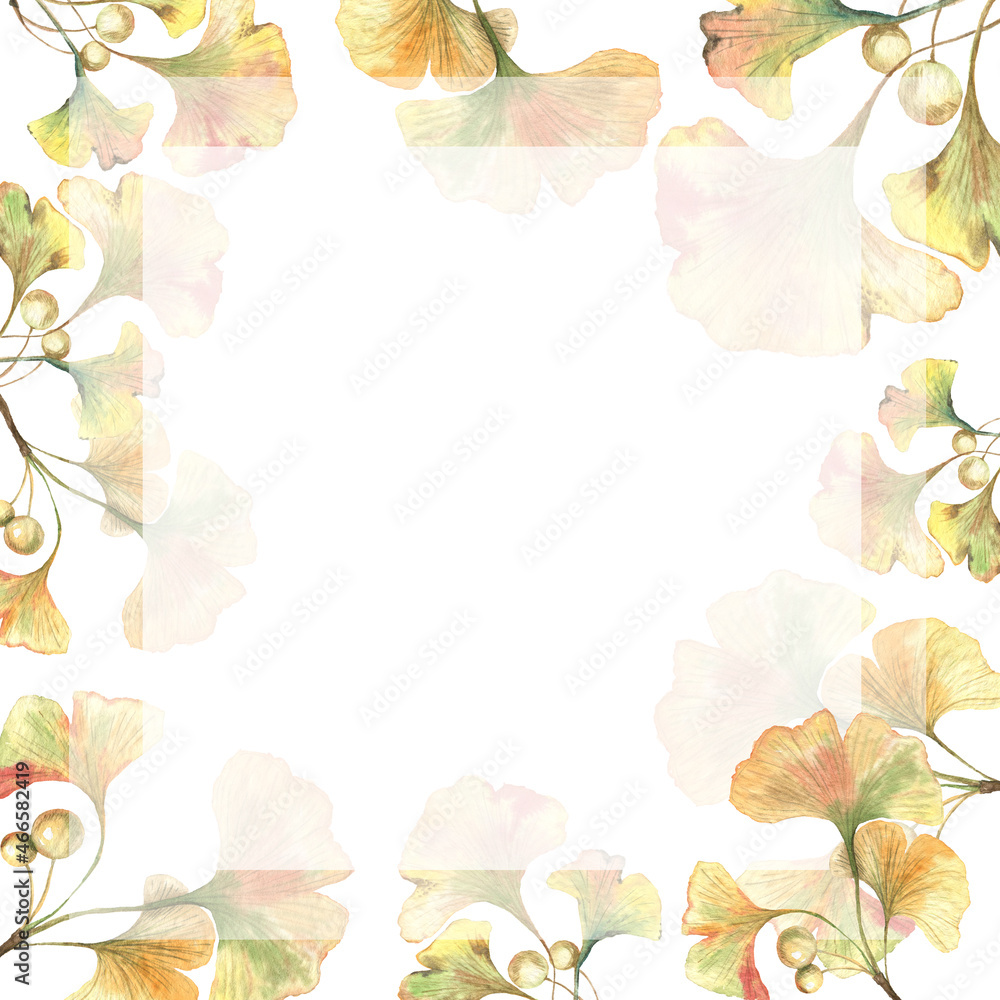 Obraz premium template paper advertisement with Ginkgo gingo biloba leaves and seeds watercolour foliage medical treatment.