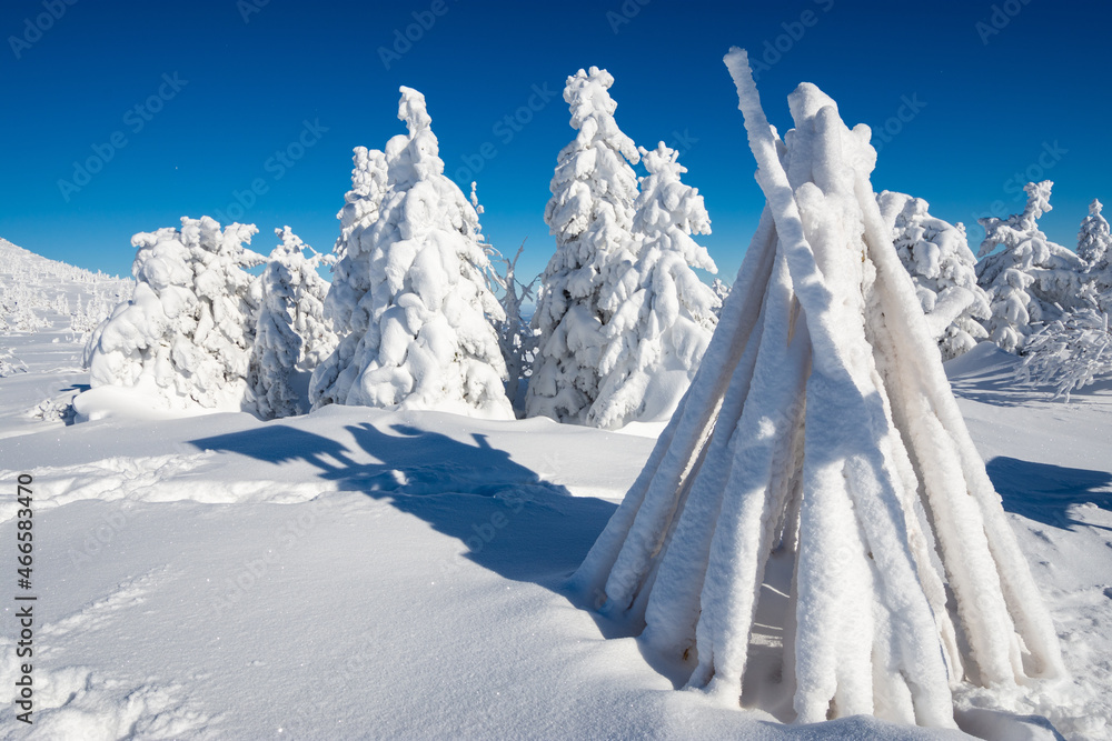 amazing winter landscape with frozen fir trees during sunny day