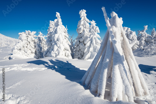 Obraz na płótnie amazing winter landscape with frozen fir trees during sunny day w salonie