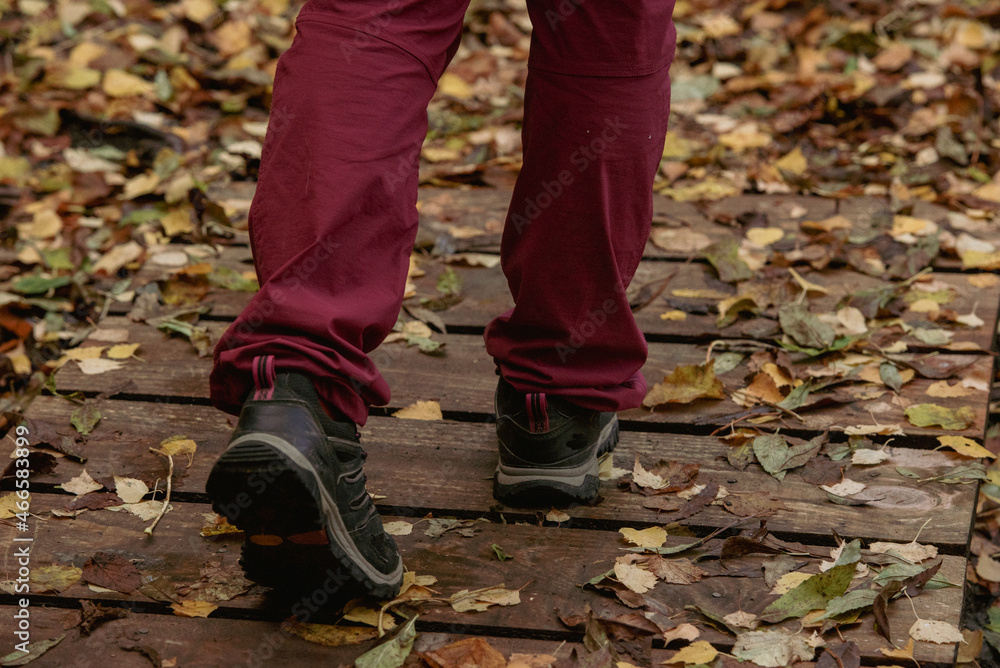 Young woman wearing trekking clothes in the forest in autumn Young woman wearing trekking clothes in the forest in autumn