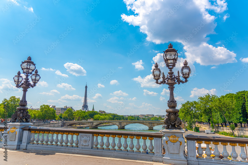 Fototapeta premium Alexander III bridge under a cloudy sky
