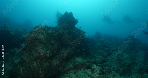 Wallpaper Mural   ancient amphoras deep water history search ocean scenery scuba dişvers to explore Torontodigital.ca