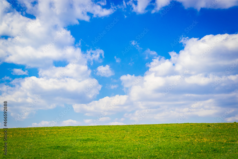 Beautiful green field with sunny blue sky in Czech Republic.