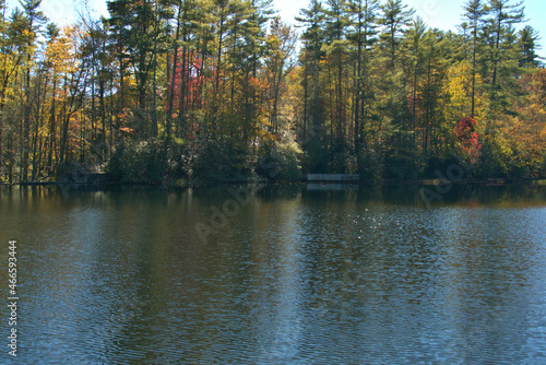 Lake surrounded by colorful fall foliage
