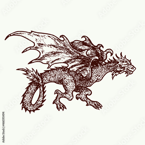 Dragon wyvern type, hand drawn doodle sketch, ink drawing illustration