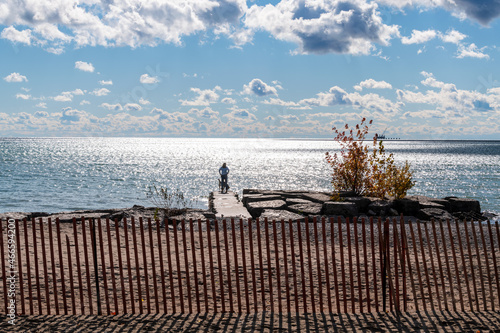 Photography A woman walks a dog in an off leash park  along the shore of lake Ontario