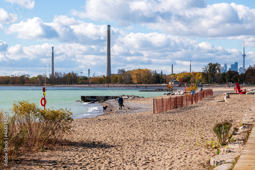 Canvas Print A woman walks a dog in an off leash park  along the shore of Lake Ontario