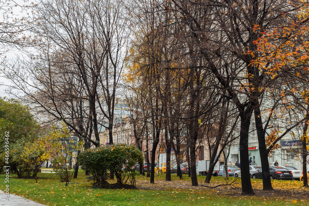 Moscow, Russia, Oct 15, 2021: Late autumn near Triumphalnaya square (Garden ring). Yellow leaves